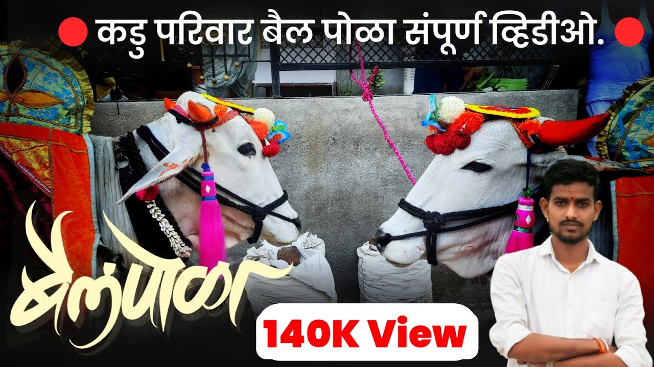 Bail pola sajawat 2021 | Bail pola 2021| बैलांची सजावट, बैल पोळा सजावट | Atish Kadu BaliPola Bhugaon