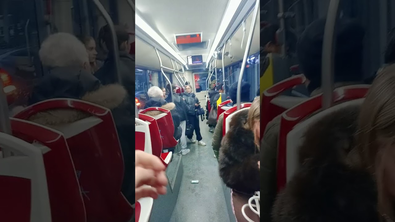 Autobus Roma ATAC linea 341 Fucini/davanzati fino a bene/Lionello quella nuova tutti insieme vuoto