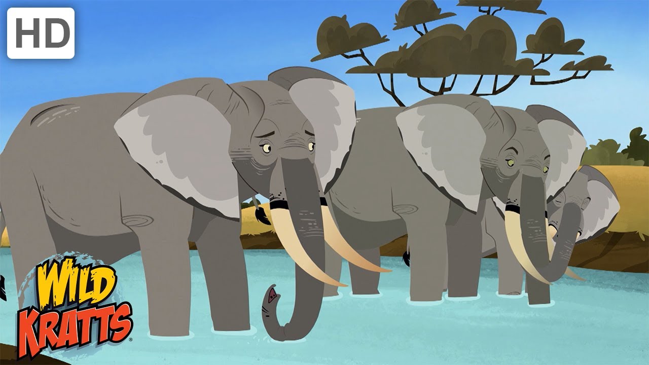 Really Big Creatures | Whales, Elephants, Sharks + more! [Full Episodes] Wild Kratts