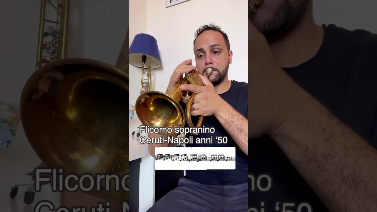 Conoscete il Flicorno Sopranino?