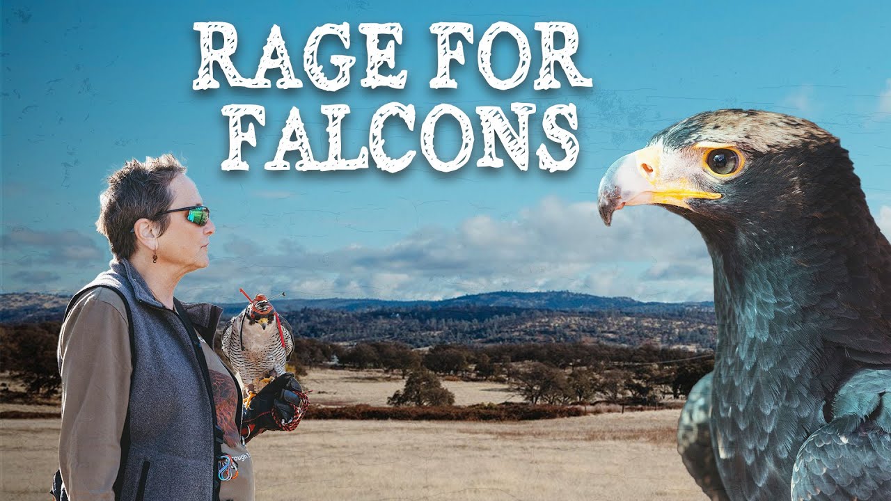 Rage for Falcons | Episode 3: The Mother of Dragons