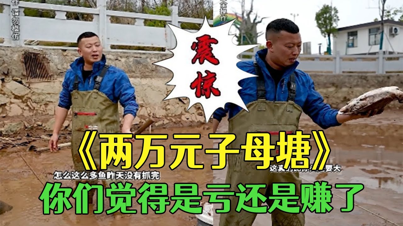 花2萬包下的子母塘，妳們覺得是虧了還是賺了？#三農 #我的鄉村生活 #戶外#小飛哥#包塘#抓魚vlog