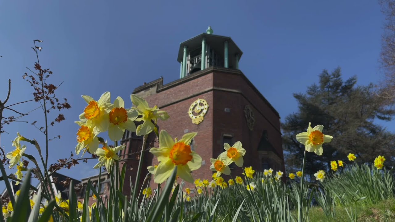 WCF Congress 21 - Extended Recital Programme by Trevor Workman, Bournville