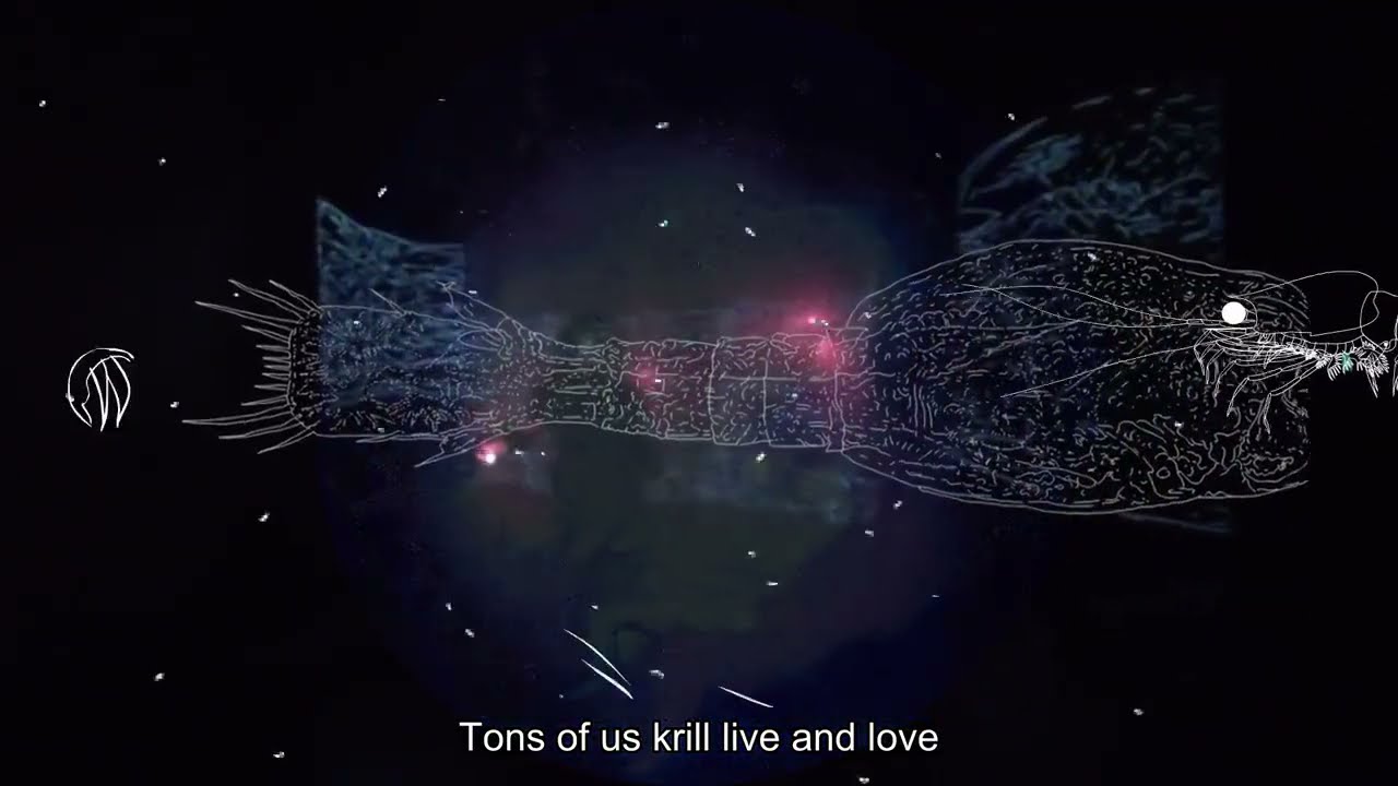 Antarctic krill song dance