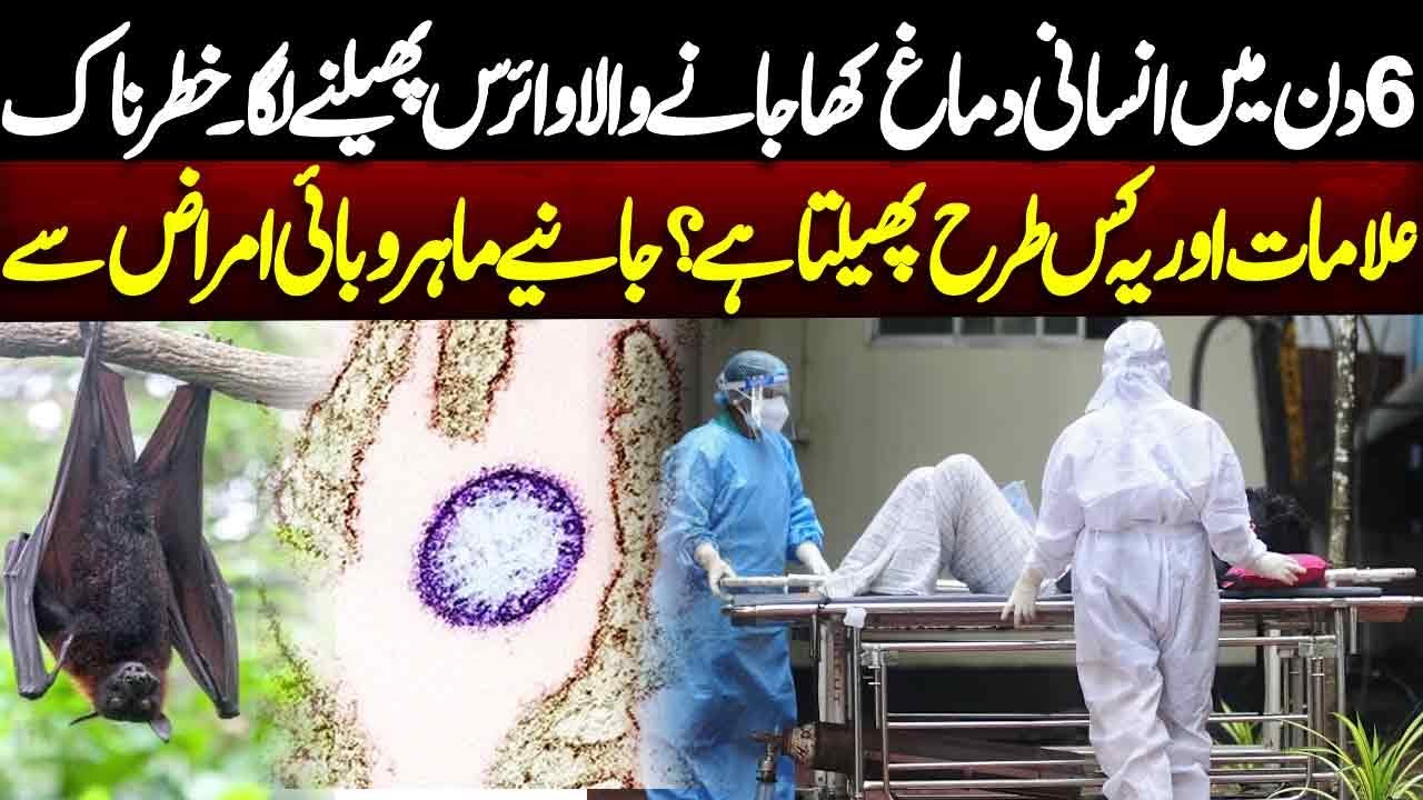 Nipah Virus Spreading  | How It Spreads & Dangerous Signs |  Epidemic Expert Explains | NEO News