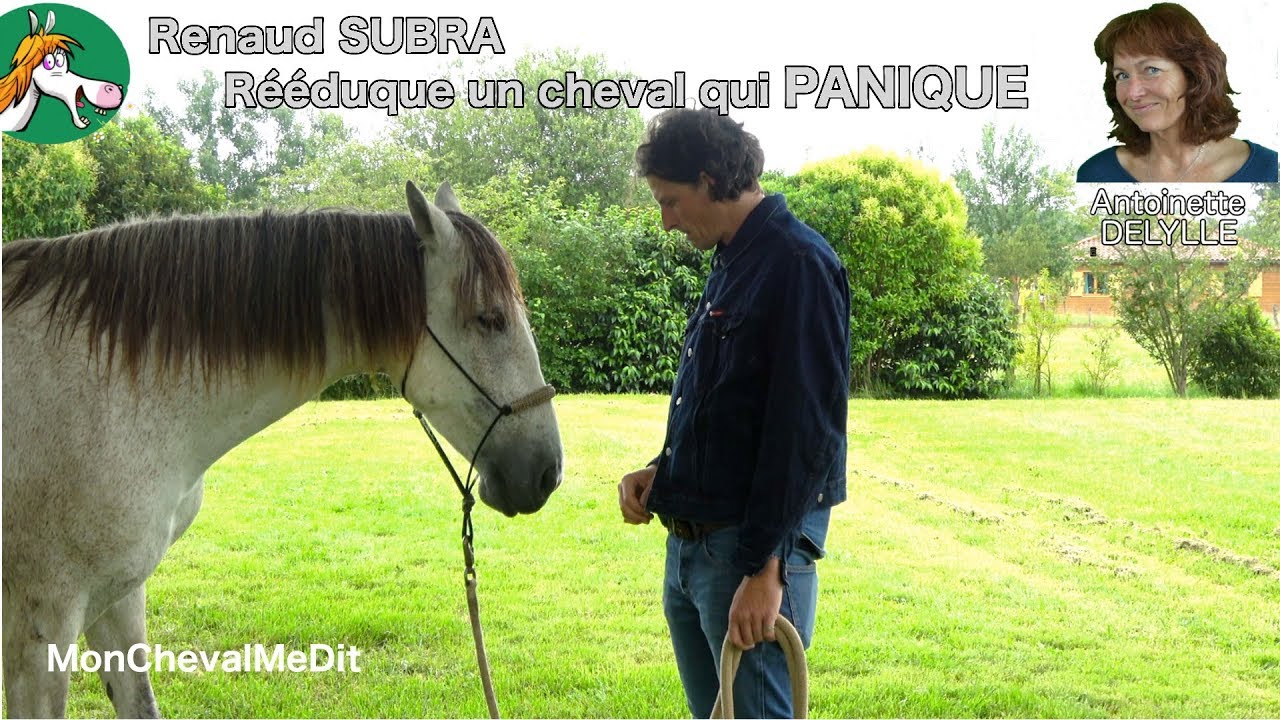 Renaud Subra rééduque un cheval qui panique