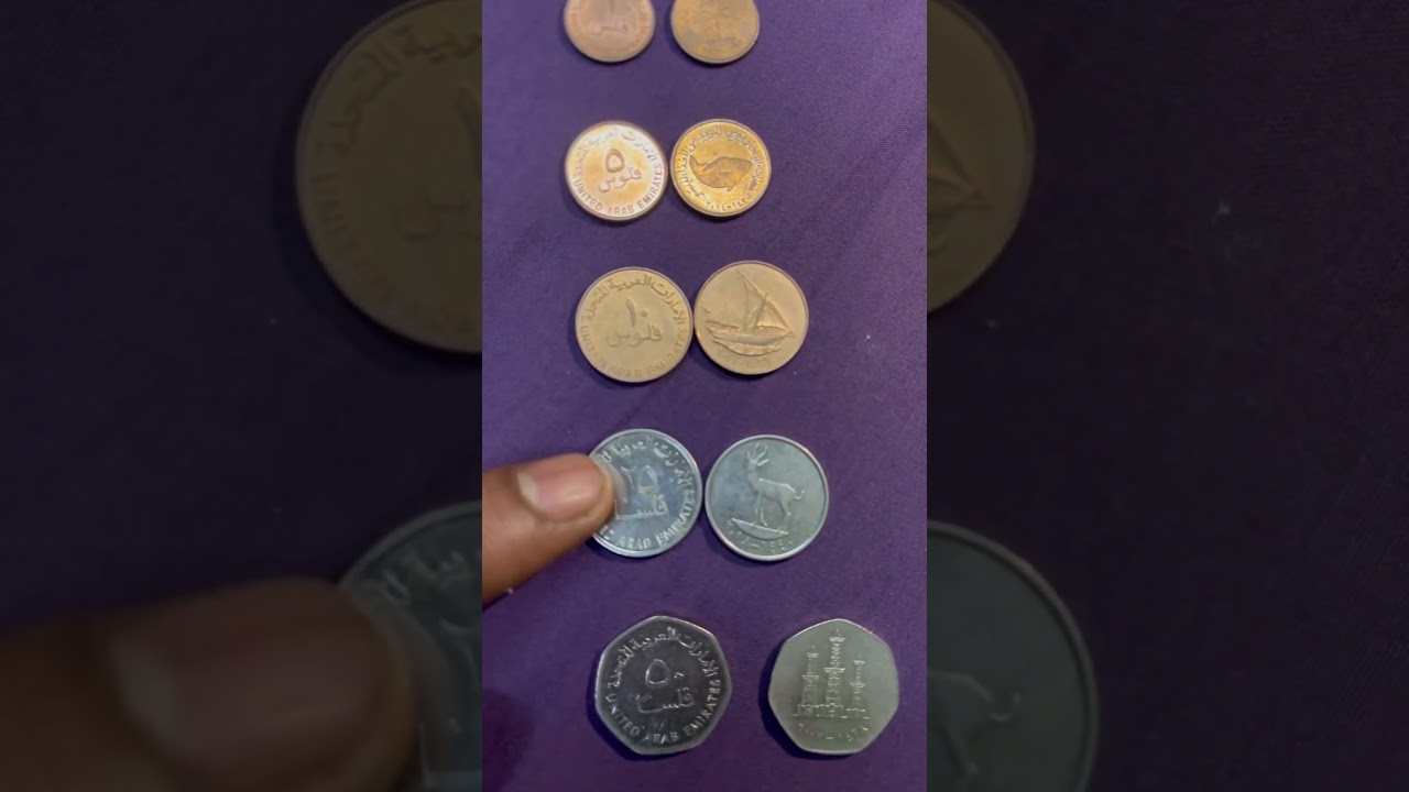 United Arab emirates coins .UAE MONEY .