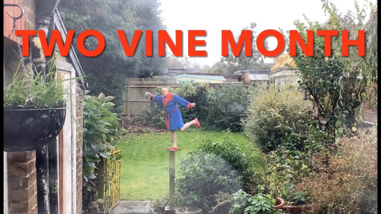 TWO VINE MONTH (2023 Tim Vine Sequel to ONE VINE MONTH)