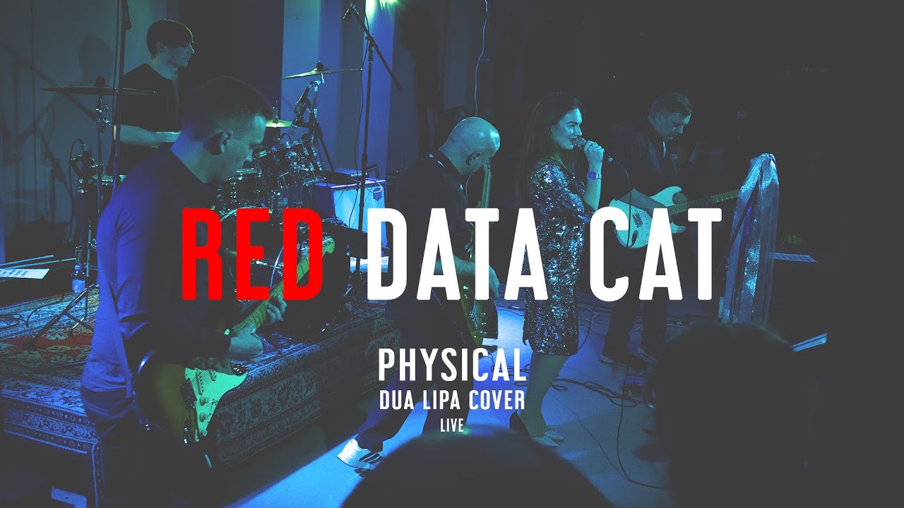 NETAYA - Physical ( Dua Lipa Cover / Live Robot Vibrations Fest 2021 )
