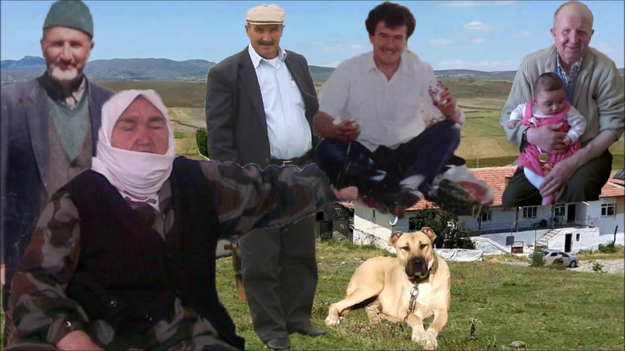 Salur Köyü 