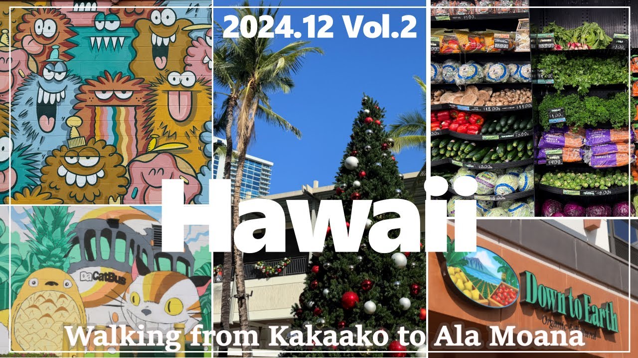 【ハワイ旅行】ハワイで今一番人気のエリアってどんな場所？カカアコでアート巡り＆おしゃれスーパー Down to EarthとWhole Foods Market【2024年12月】#2