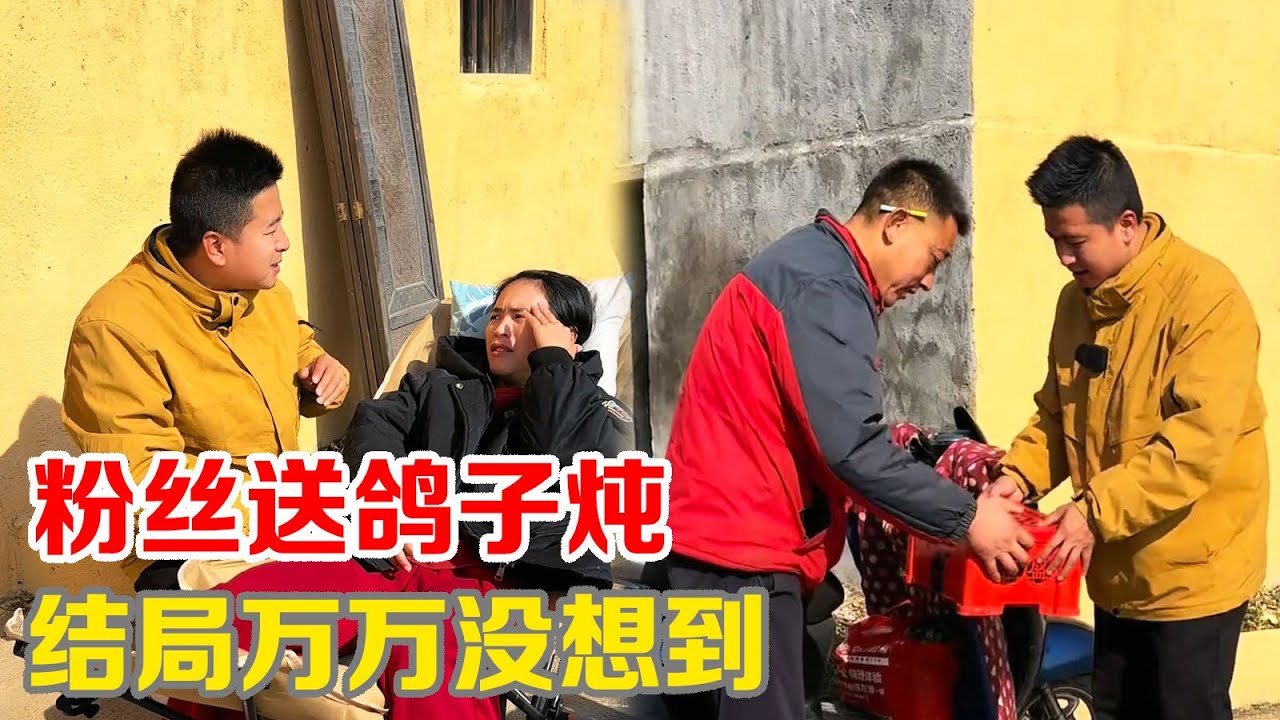 粉丝送鸽子炖，结果万万没想到【小马行九州】#正能量 #海派 #小马行九州 #shorts