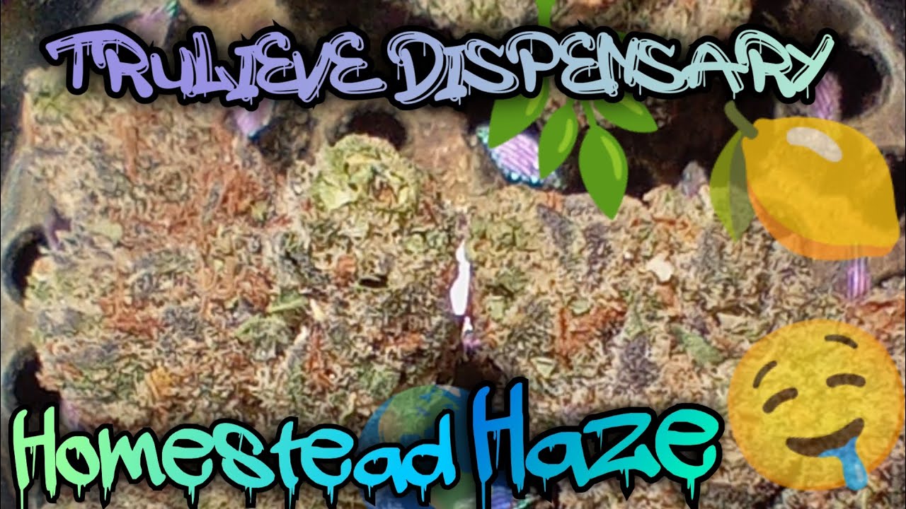 #116 Homestead Haze (Official Video Product Review) Trulieve Dispensary Product