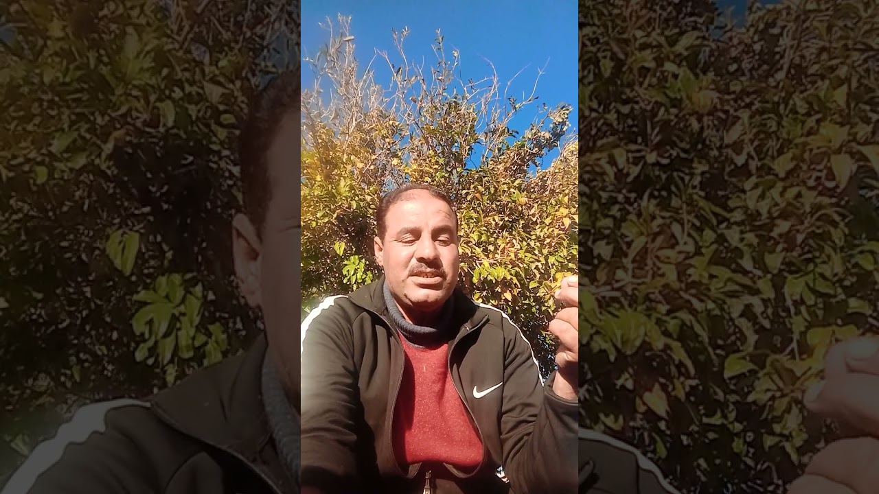 ابوي الغالي 