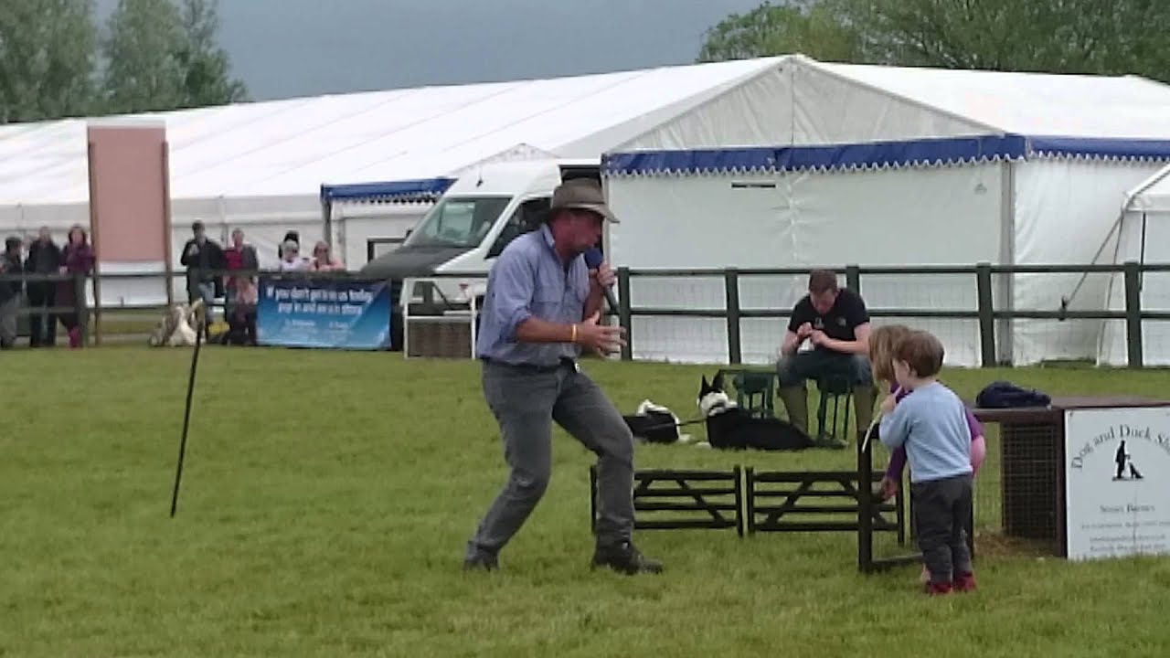 Dog & Duck Show at The Royal Bath & West Show 2014