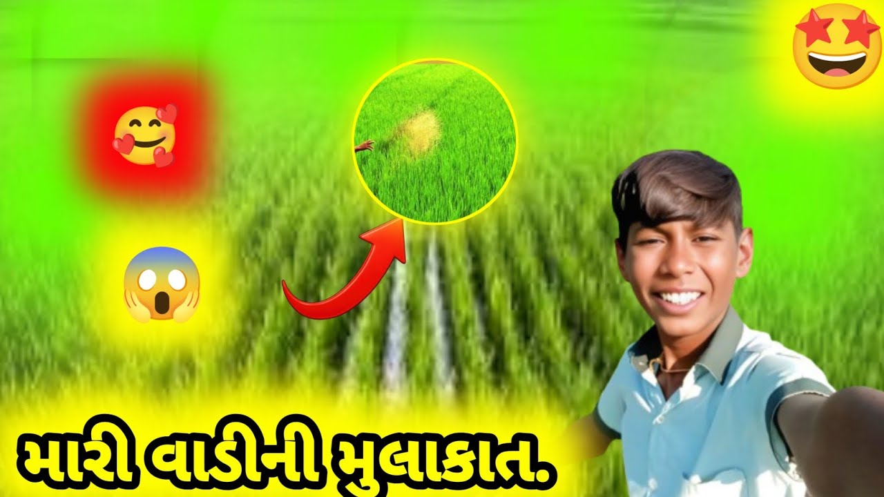 ||કામ કરવું પડ્યું😱.|| Kam Karvu Padyu😱.||