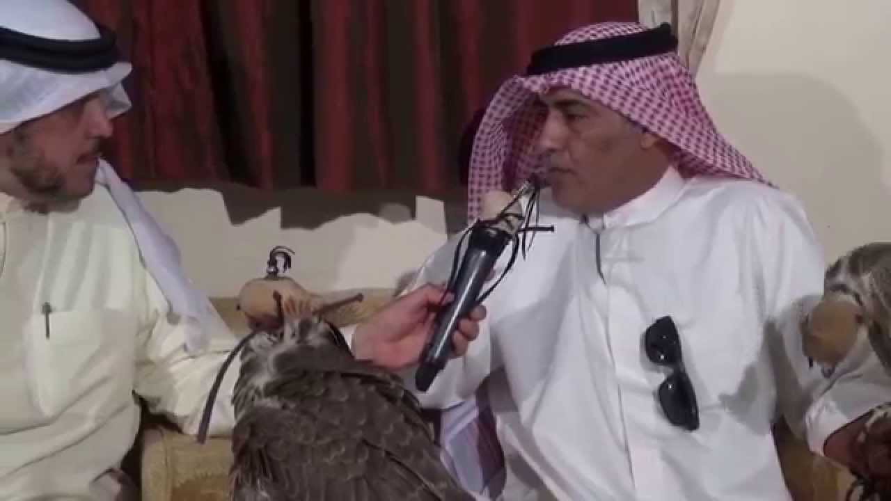 مربط / ضميد العازمي - الكويت