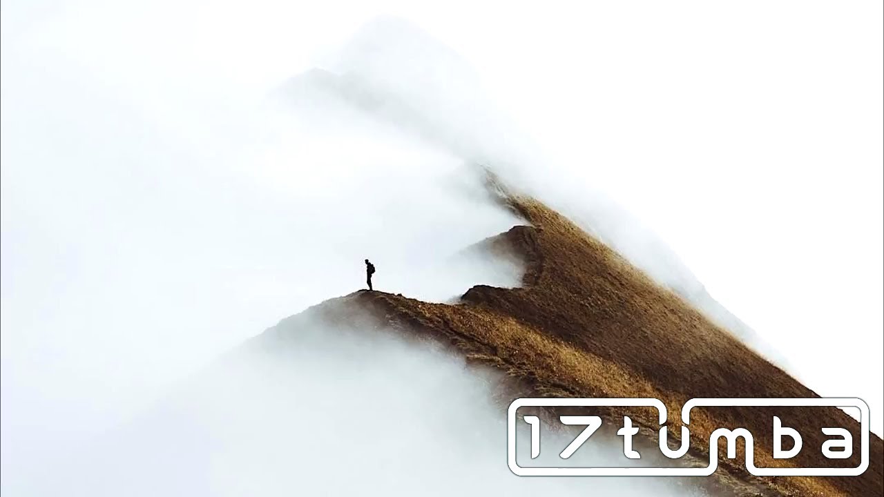 Ninety x verdict - Outershell