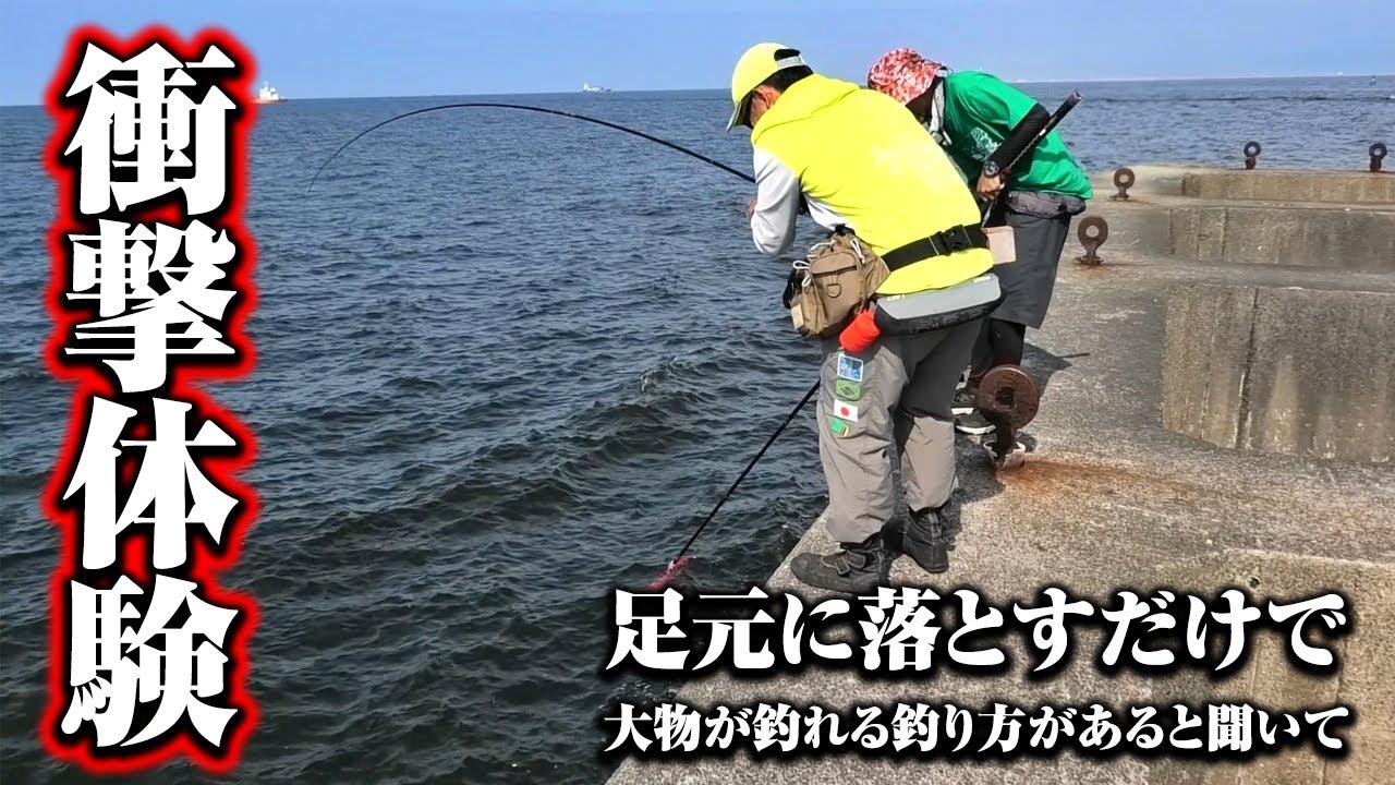 こんなに釣れるもんなんか…？堤防ギワだけを狙う釣り方に初挑戦、嘘みたいな釣れっぷりはまさに衝撃体験だった件