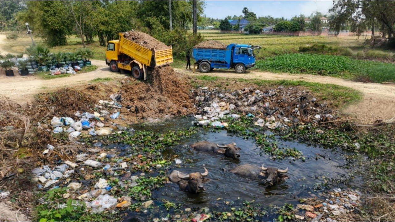 NICE Starting New PROJECT!! DELETE POND by Overloading Soil Dump With Bulldozer Pushing Soil to Wate