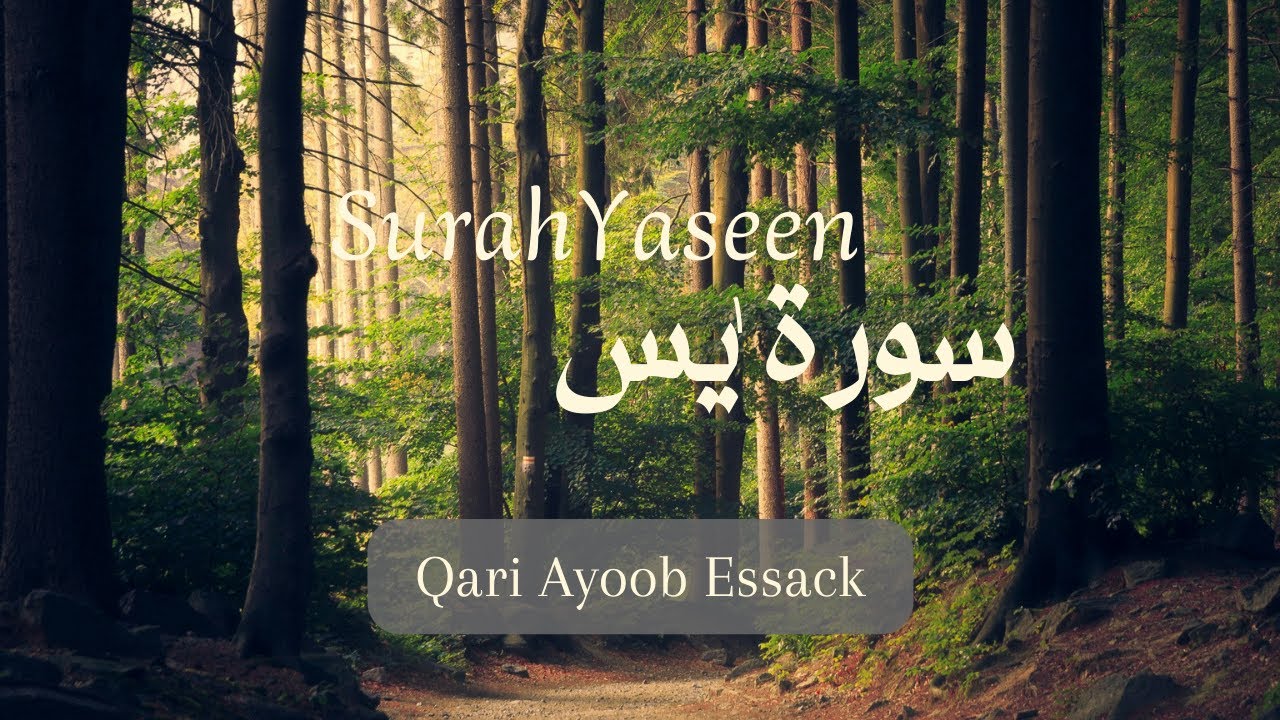 SURAH YASEEN | QARI AYOOB ESSACK
