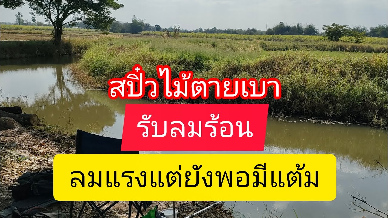 ตกสปิ๋วรับลมร้อน ลมแรงแต่ยังพอมีแต้ม