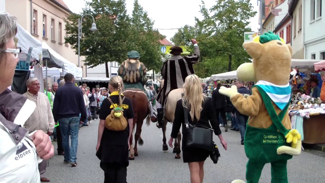 Wiesenmarkt Eisleben 2012 Umzug (1/12)
