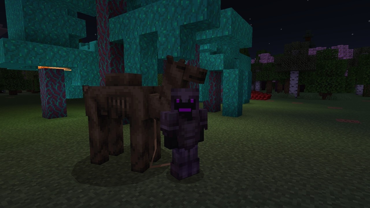 The adventures of the ender dragon found a camel husk and back with it to flat land