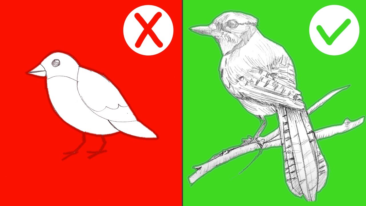 Como Desenhar um Pássaro: 5 PASSOS SIMPLES 🐦 (tutorial passo a passo)
