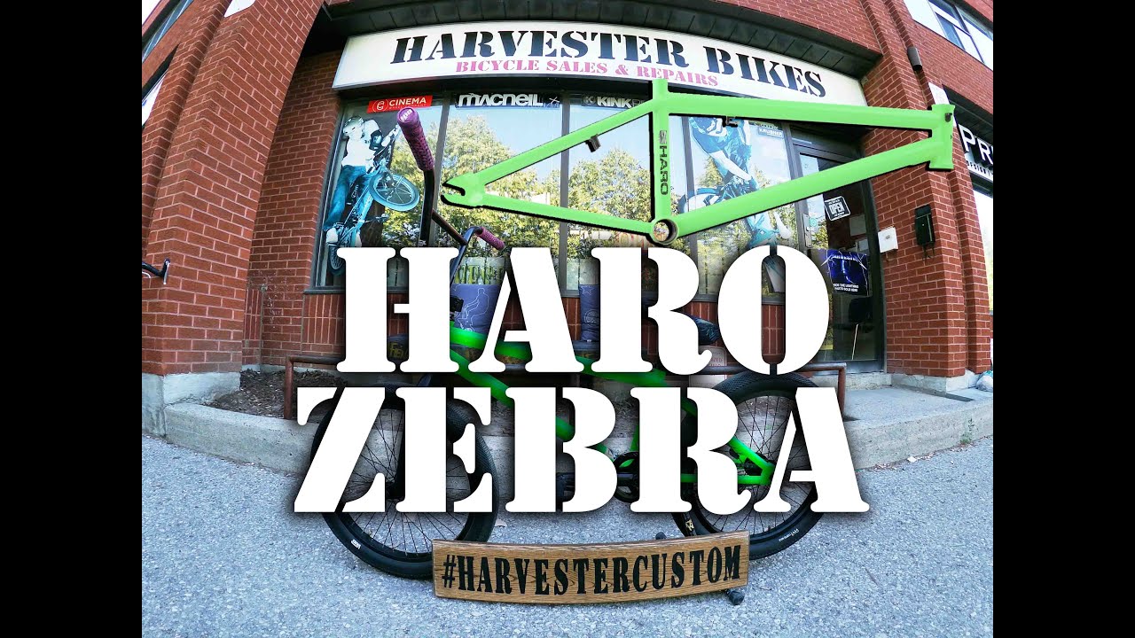 Haro Zebra Frame Build @ Harvester Bikes