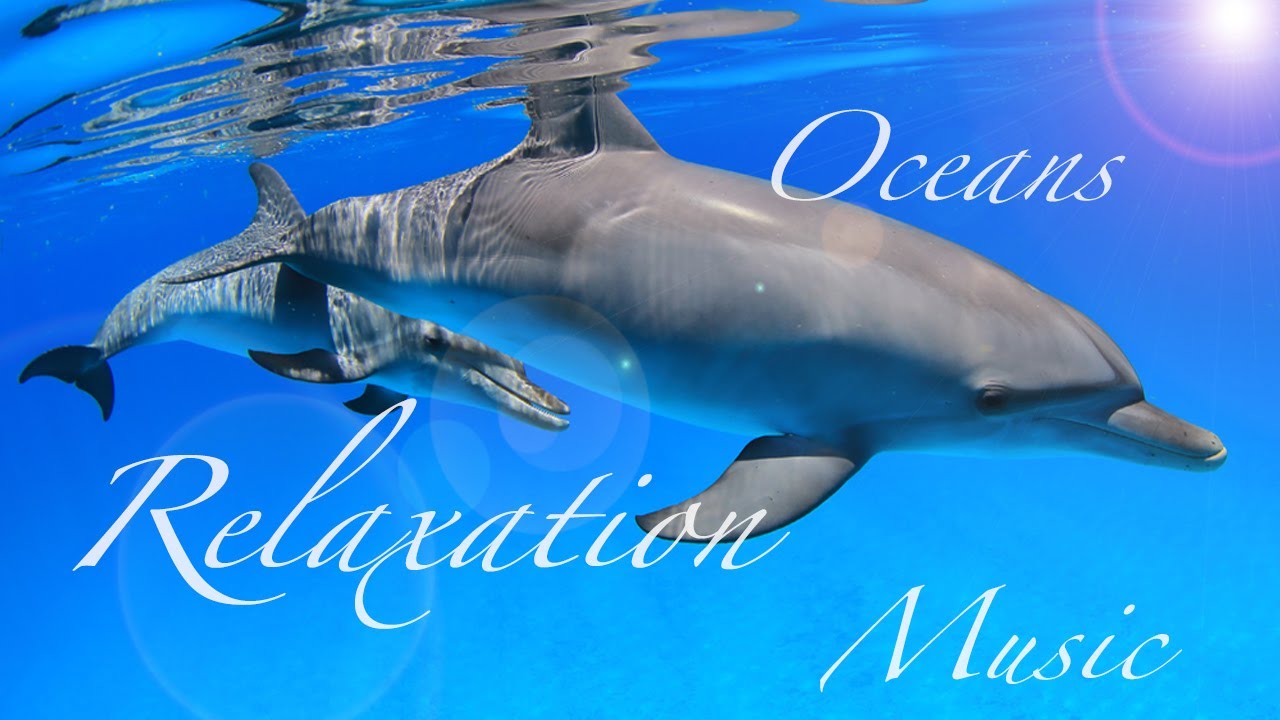 癒しの音楽と海の写真集 リラックスタイム・睡眠時・瞑想・ヨガ・サロン・作業などに Healing Music&Dolphins