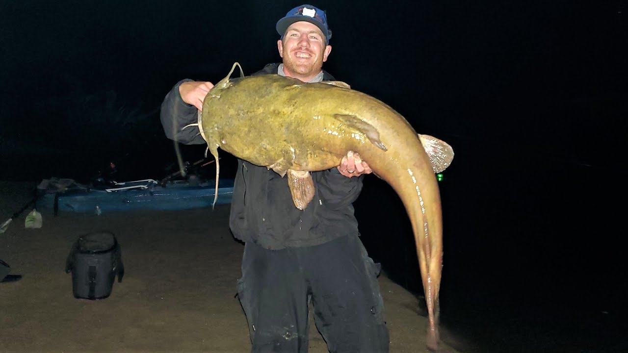 Exploring SMALL rivers for MONSTER FISH!! (55 lb flathead)