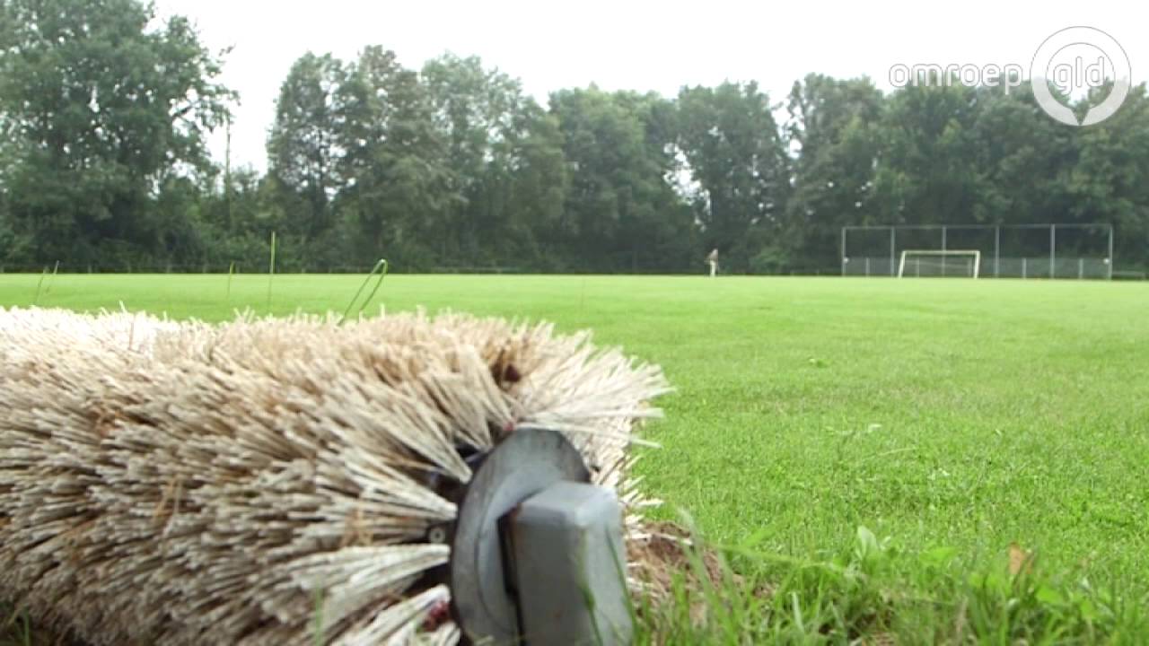 Engerlingen bedreigen voetbalvelden Achterhoek; grasmeester controleert in Kilder