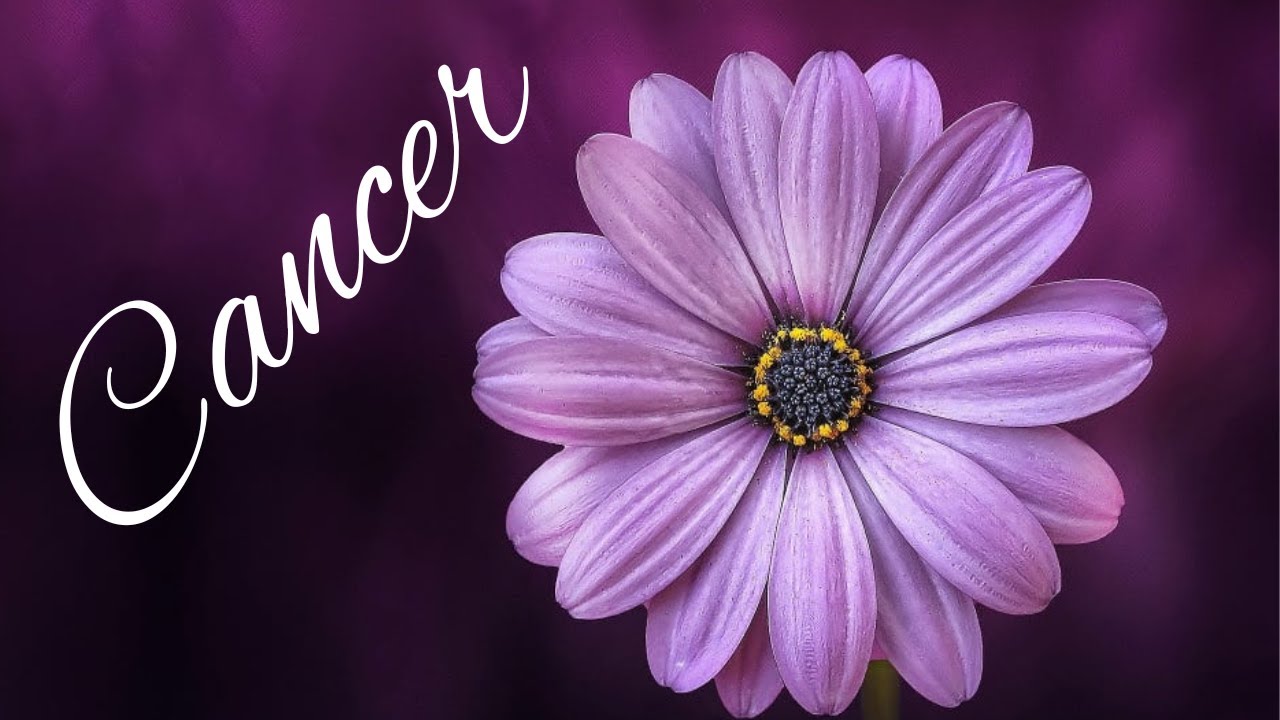 Cancer BONUS💜Woah! This Is Gonna Really Surprise You💜 New Love