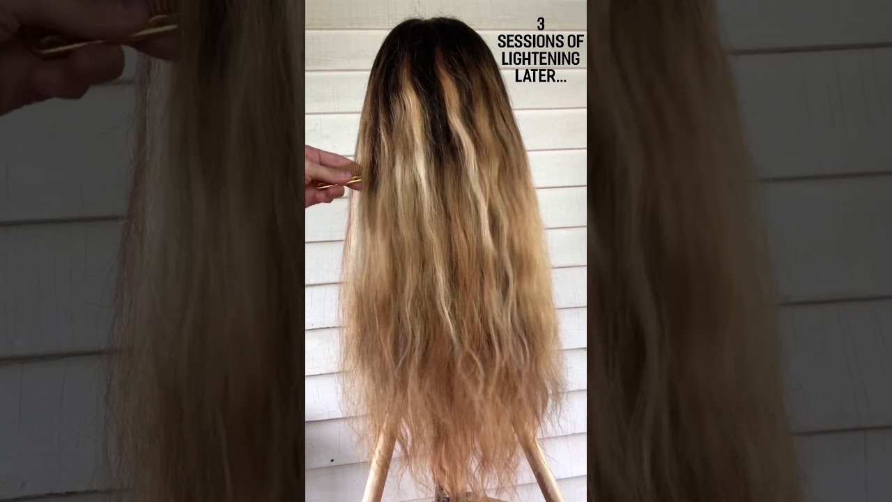 TRANSFORMING BLACK LACE FRONT WIG TO BLONDE BALAYAGE! DIY PROFESSIONAL HAIR COLORING TRANSFORMATION