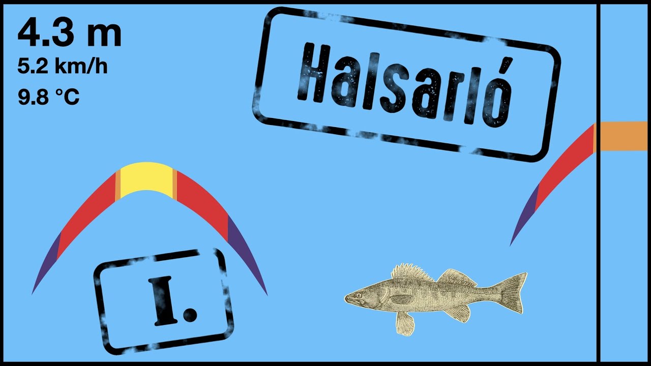 Halak a szonáron / A halsarló - A meder és a szonár - 2. rész (Halradar - Újratöltve)