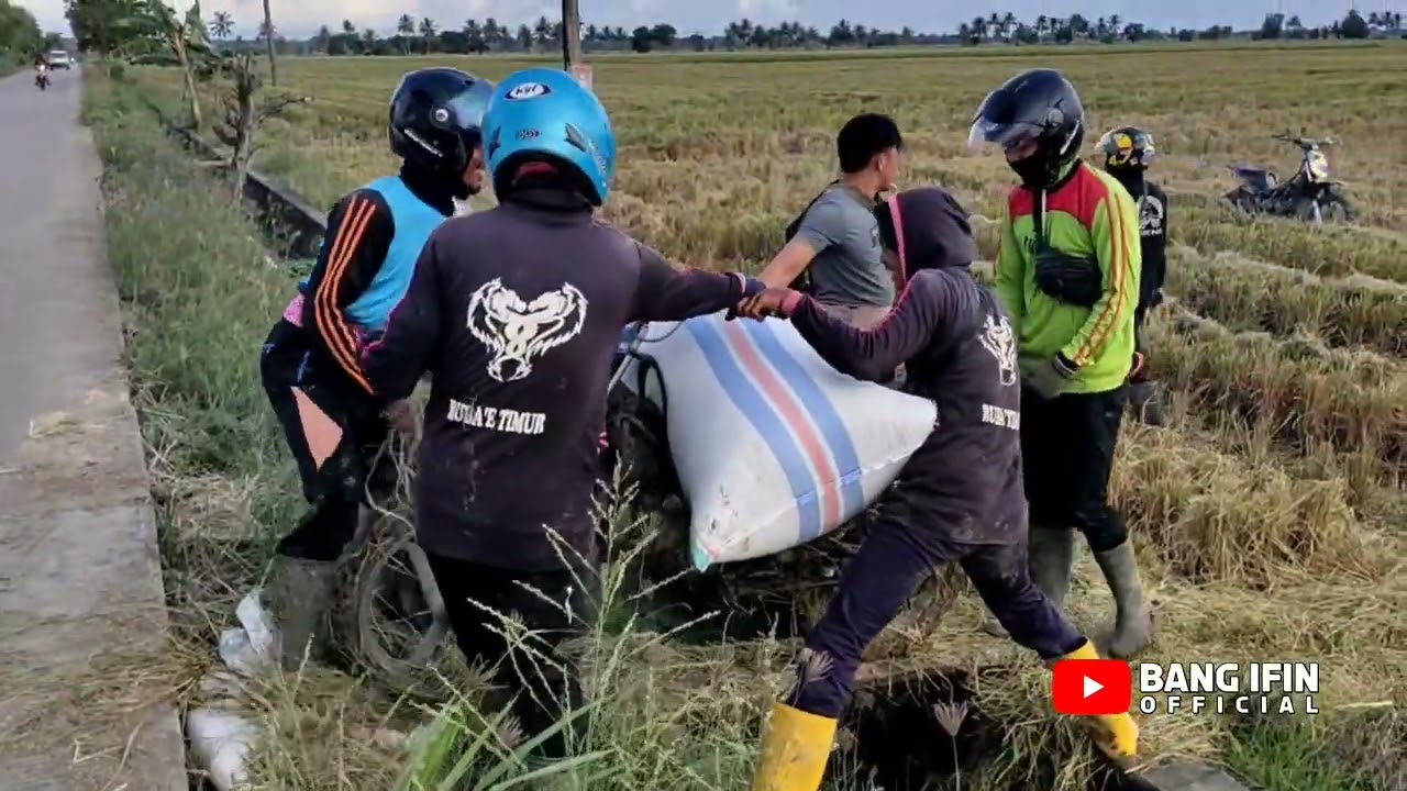 ATJ family jadi tontonan warga angkut gabah di pinggir jalan || jalanan sempat macet