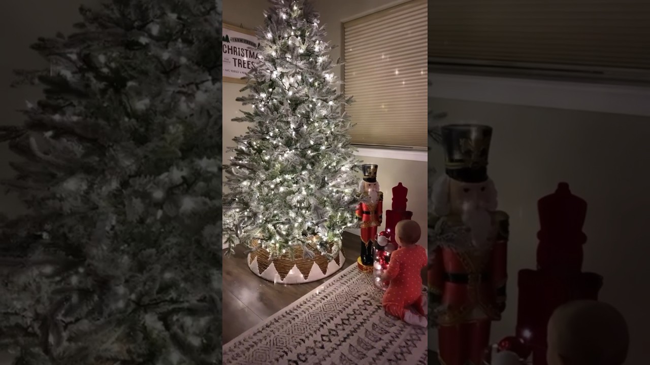 Come set up our 7.5 queen flocked tree from King Of Christmas 🎄 #kingofchristmas #christmastrees