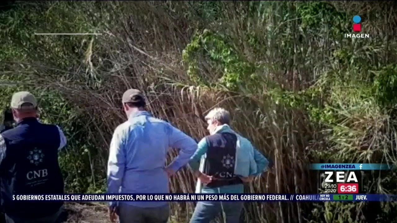 Hallan 59 cuerpos en fosas clandestinas en Salvatierra, Guanajuato | Noticias con Francisco Zea