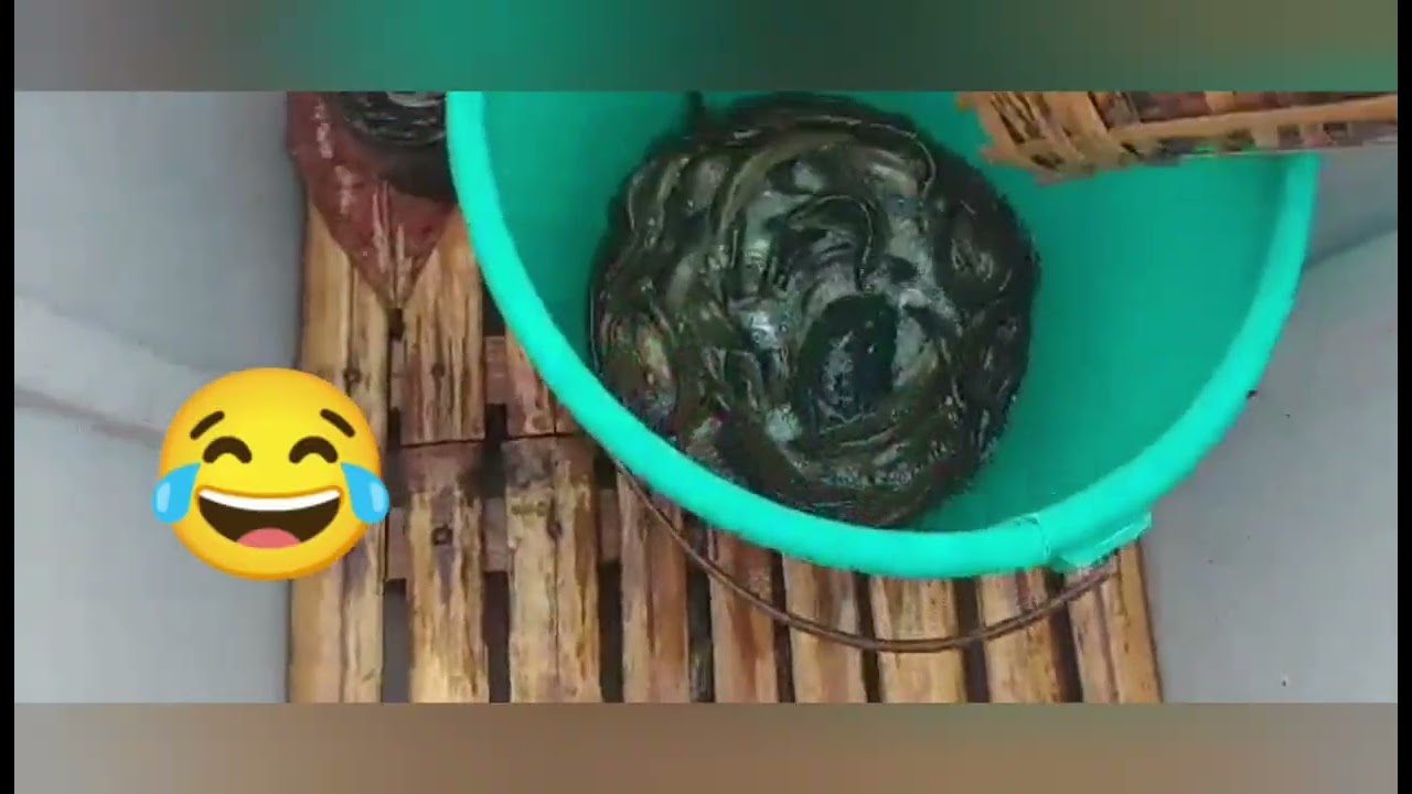 Catch & Cook bakasi/eel fish