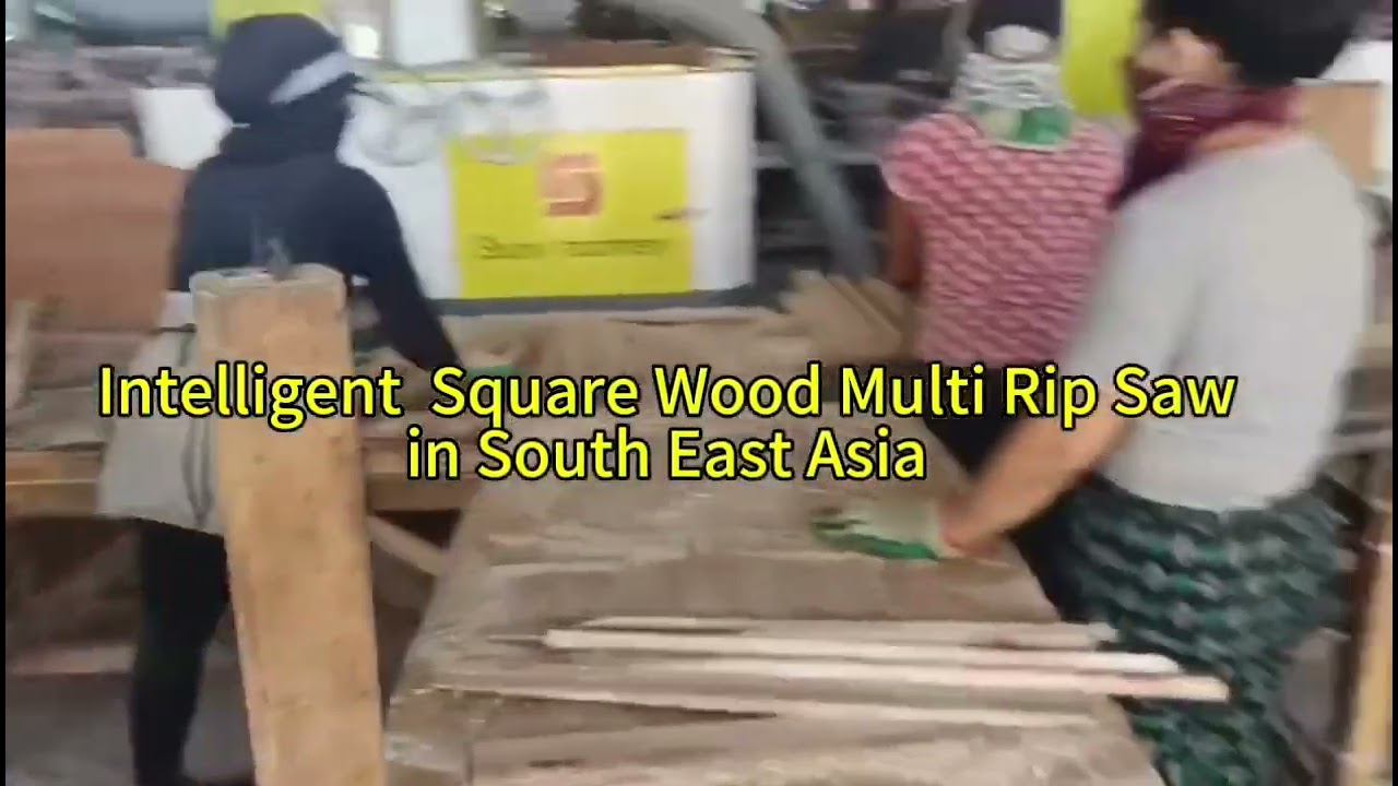 Block Board Production Line In SouthEast Asia Log Multi Rip Saw Smart Square Wood Multi Rip Saw