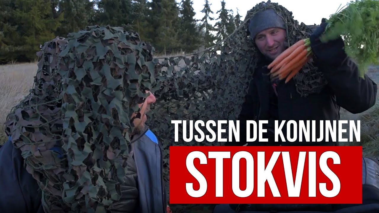 Tussen De Konijnen - STOKVIS