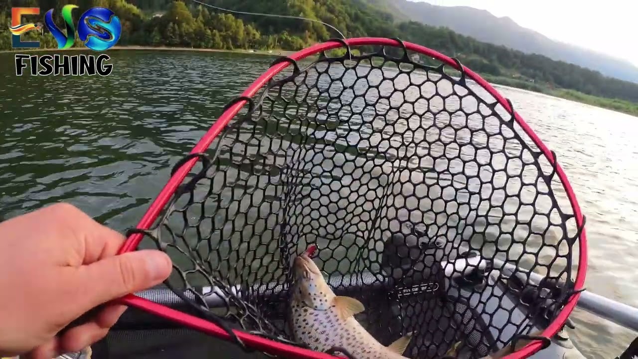 Pastravi sălbatici si bibani de vara, pescuit din belly boat cu oscilante