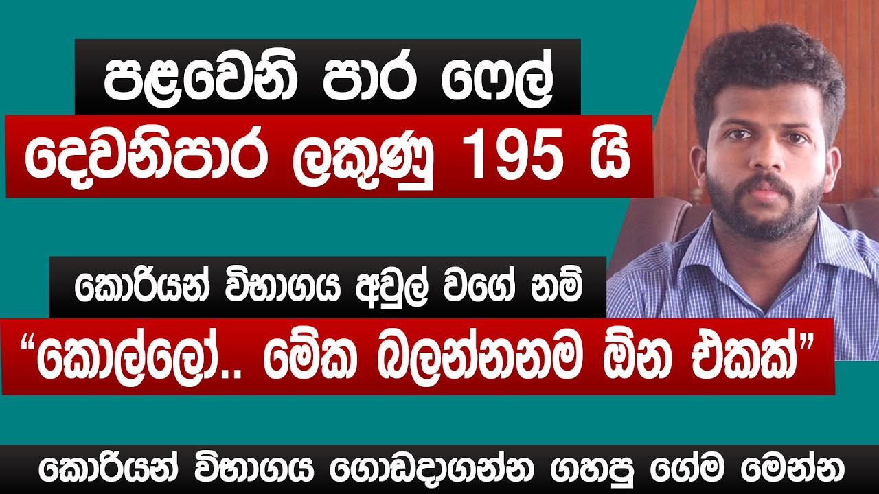 මට ළකුණු 195 යි | කොරියන් විභාගය අවුල් වගේ නම් මේක බලන්නනම ඕන එකක් | Korean exam 2024 | Sinhala