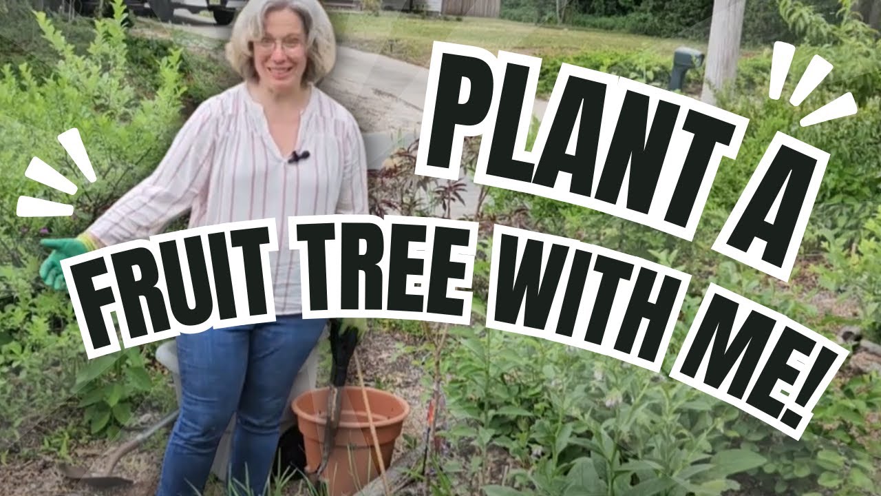 Planting A New Food Forest Fruit Tree