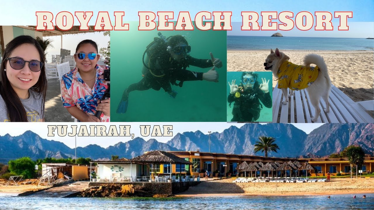 SUPER PET - FRIENDLY RESORT IN UAE + SCUBA DIVING I Royal Beach Hotel & Resort - Fujairah UAE
