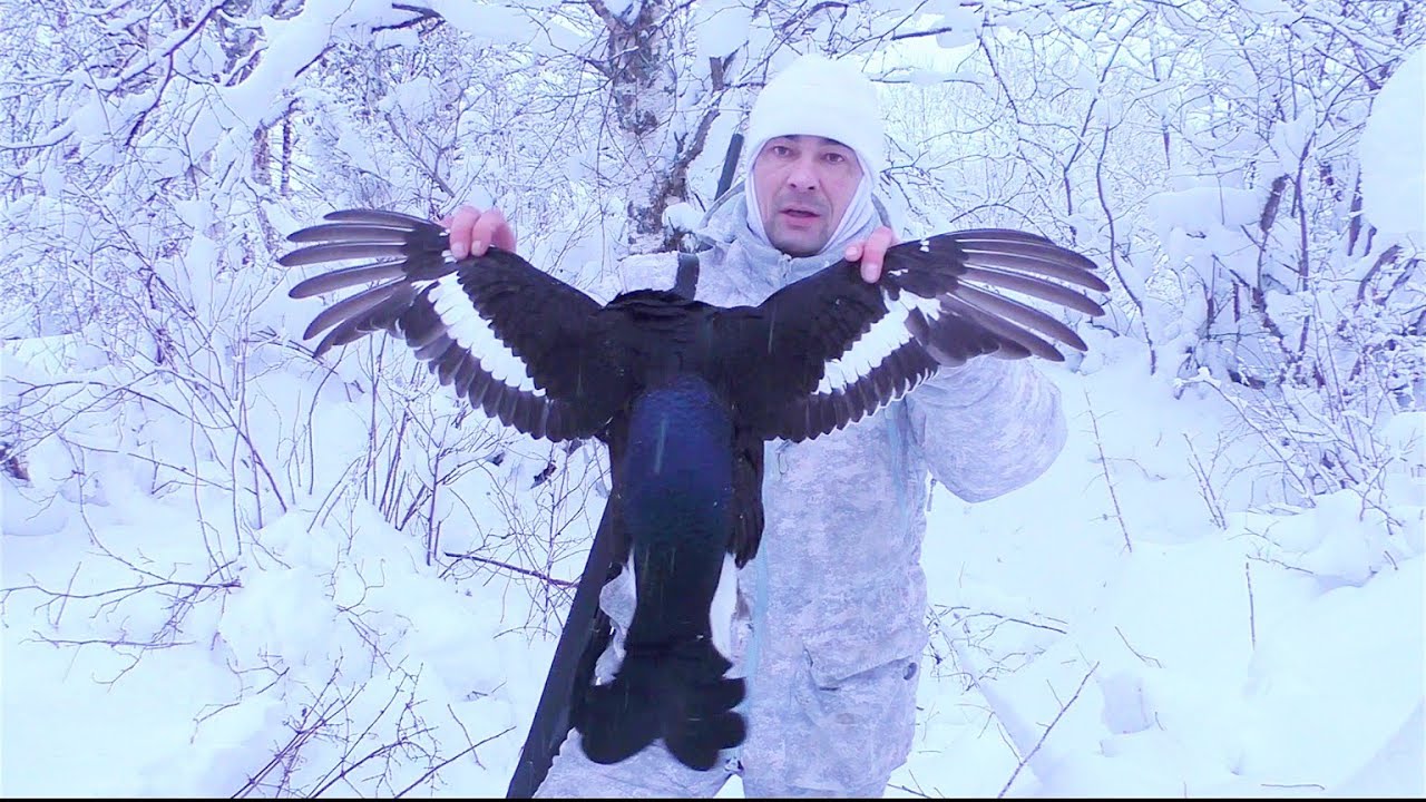 ТРИ ДНЯ ЕГО ГОНЯЛ / НАКОНЕЦ-ТО СВЕРШИЛОСЬ / ОХОТА НА ХИТРОГО ТЕТЕРЕВА / ПО ПУТИ ТРИ РЯБЧИКА ВЗЯЛ.