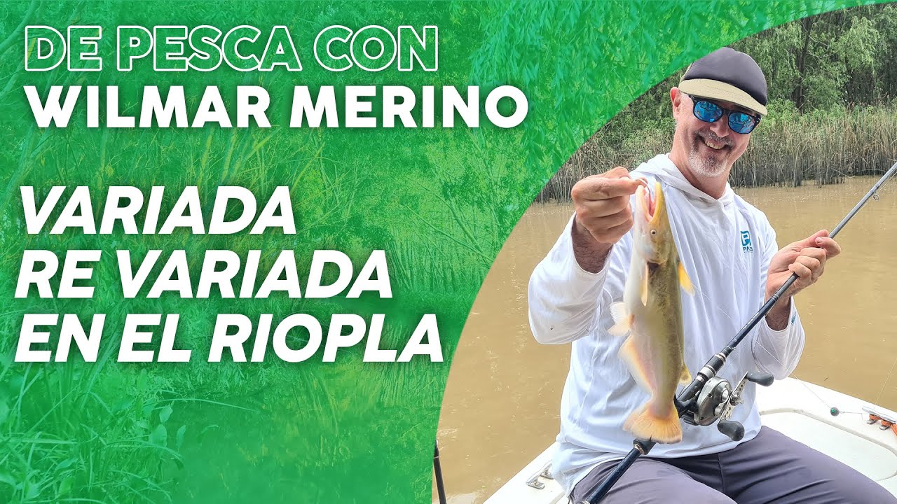🔴PESCA RE VARIADA en el DELTA 👍✅