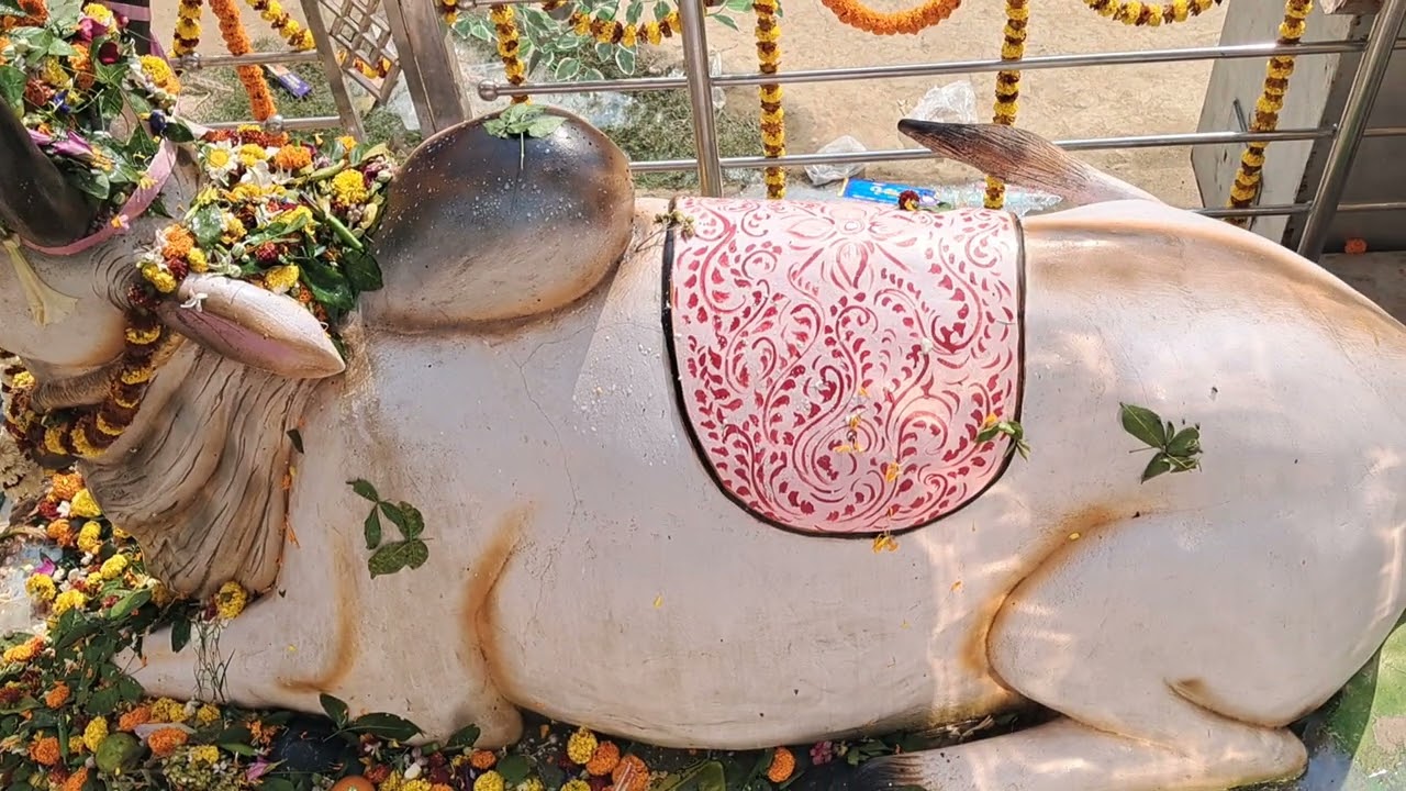নবদ্বীপ ধামে দর্শন*শ্রীশ্রী হংসবাহন*শিব মন্দির