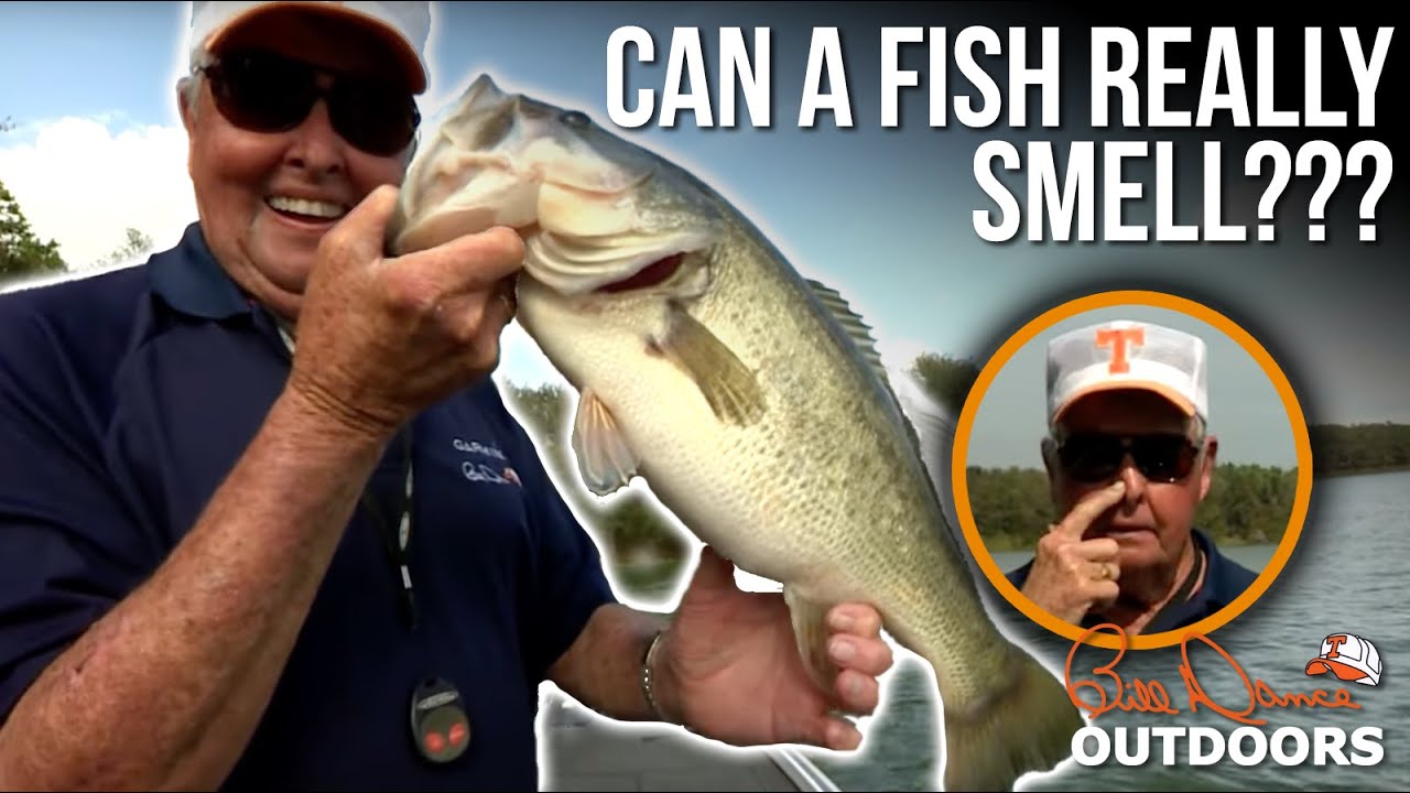 Can a fish really smell??? | Bill Dance Outdoors